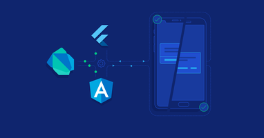 Mobile Developer & IT Project Manager Experience