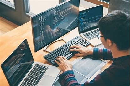Web Developer Experience